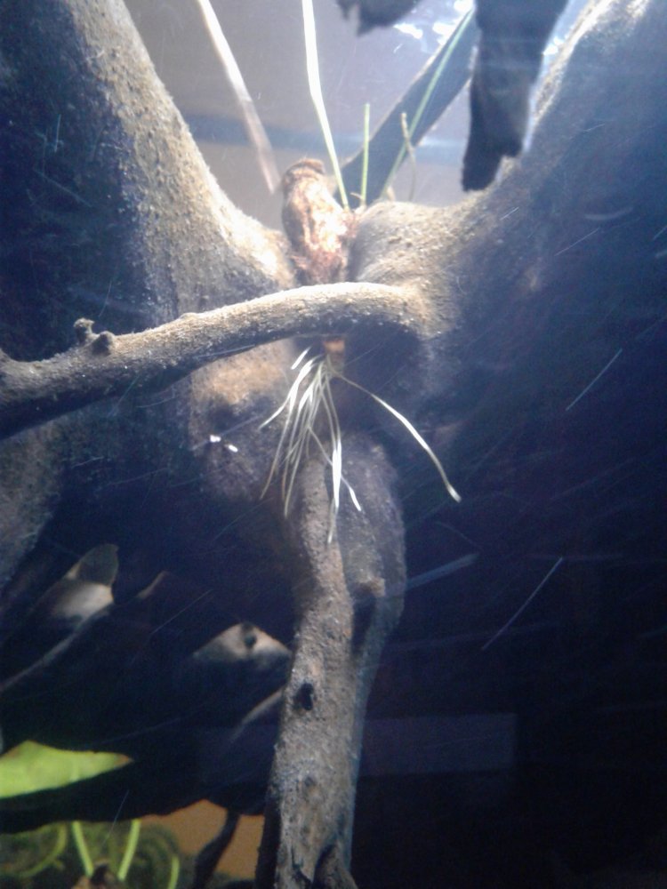 20171008_195313.jpg
