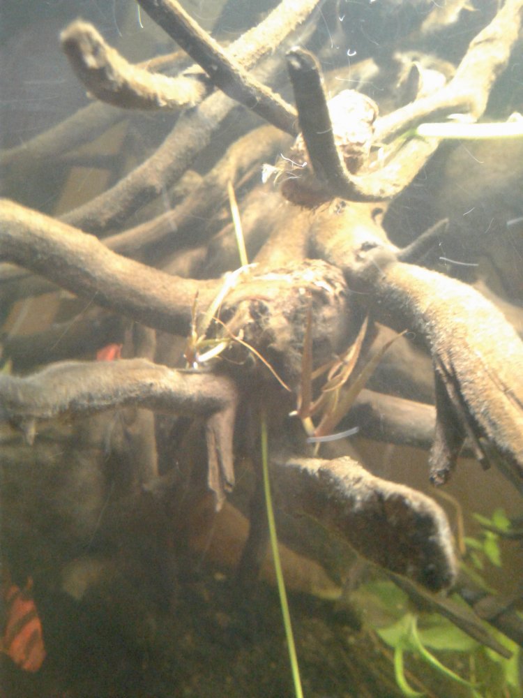 20171008_195337.jpg