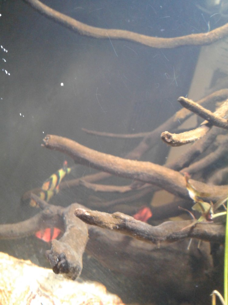 20171010_151727.jpg