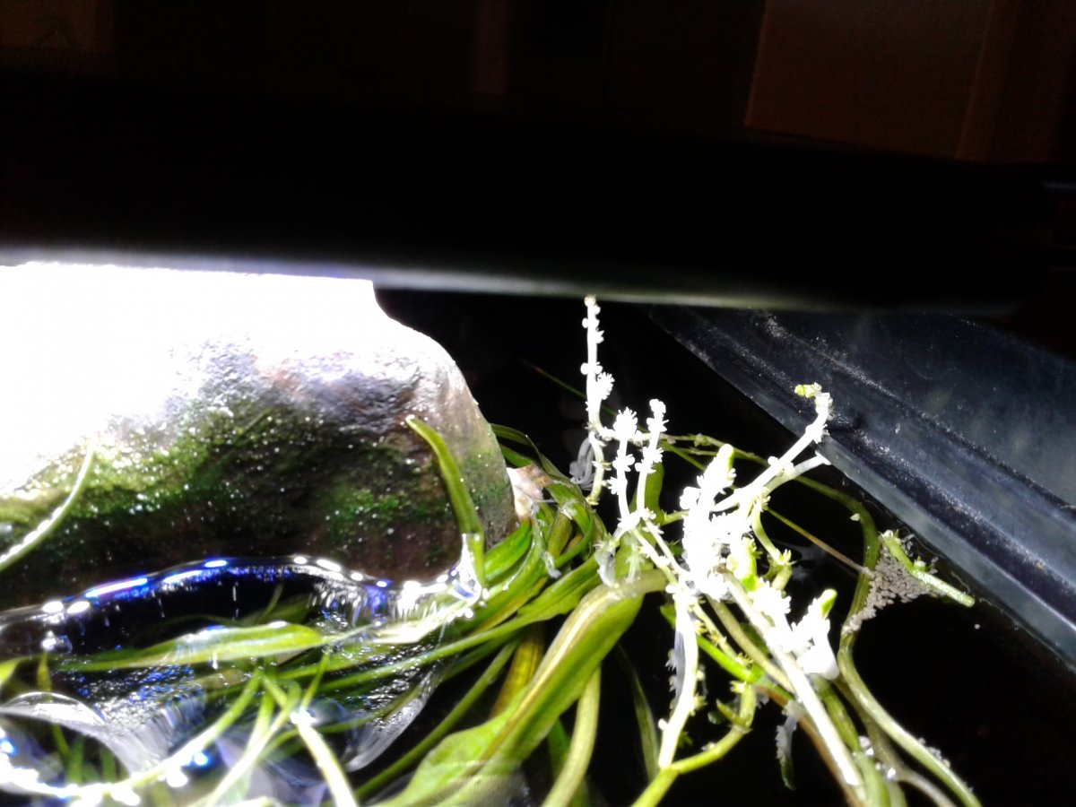 20171022_191734.jpg