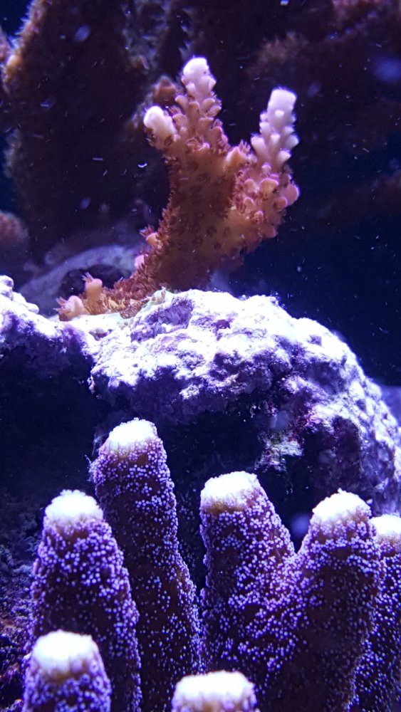 20171122_181049.jpg