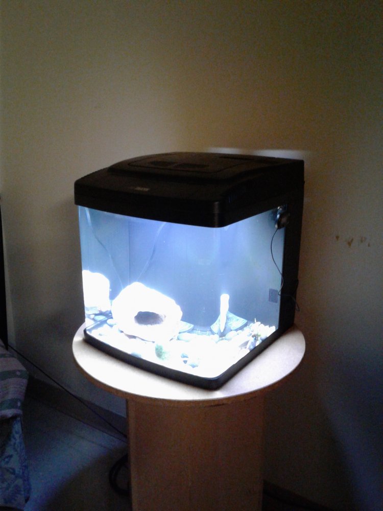 20171219_203116.jpg