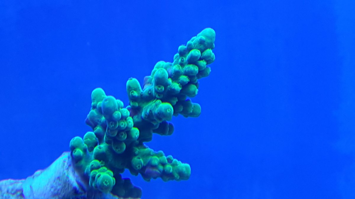 20180203_140025.jpg