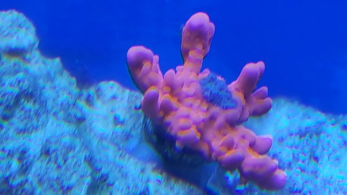 20180203_140035.jpg