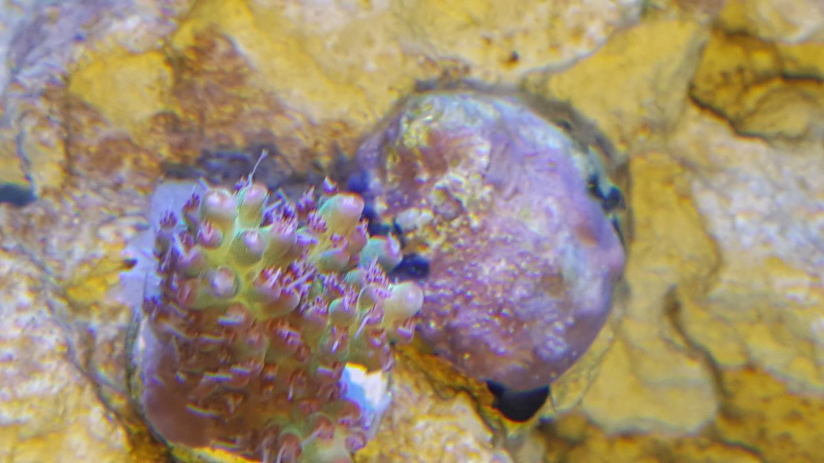 20180203_140229.jpg