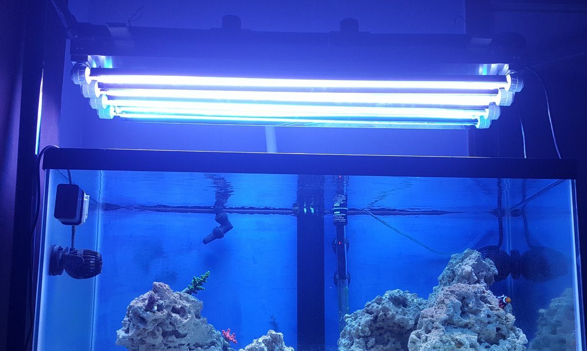 20180203_142213.jpg