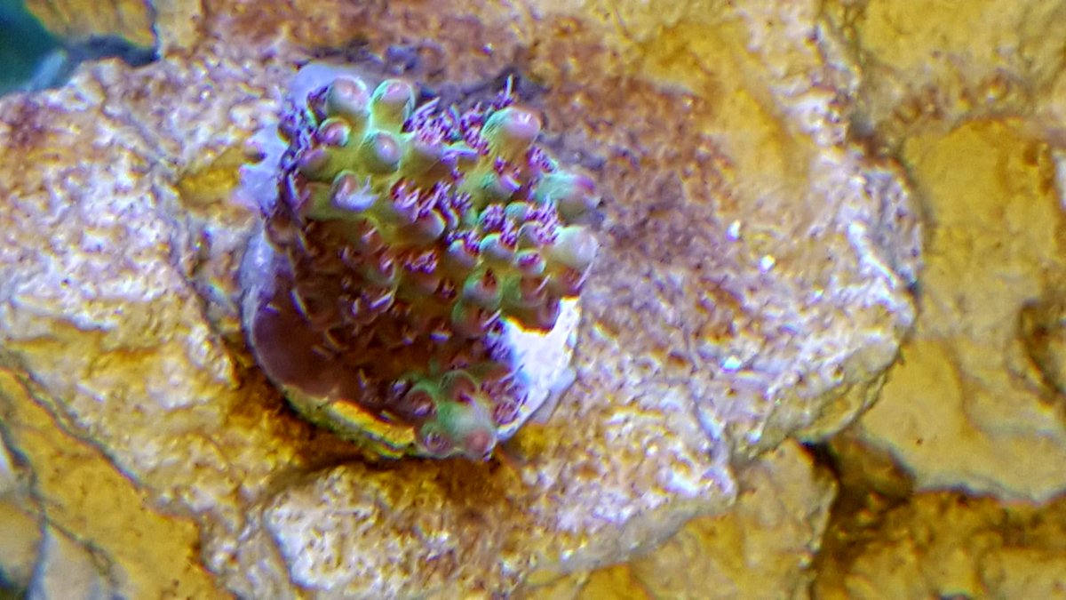 20180204_183736.jpg