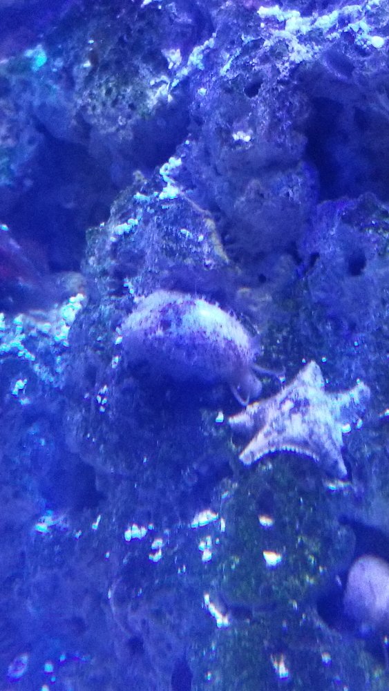 20180222_201206.jpg
