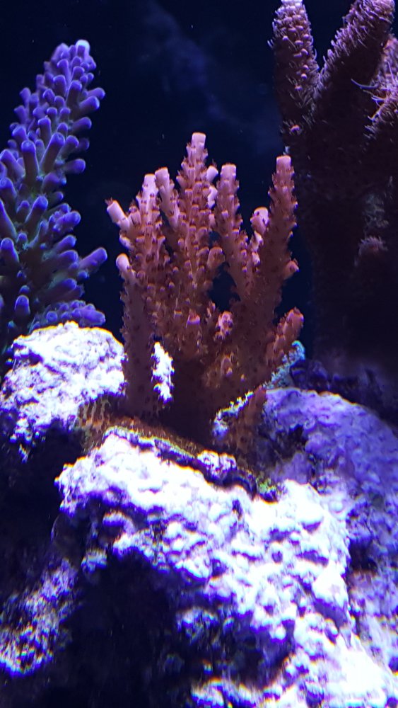 20180225_144000.jpg