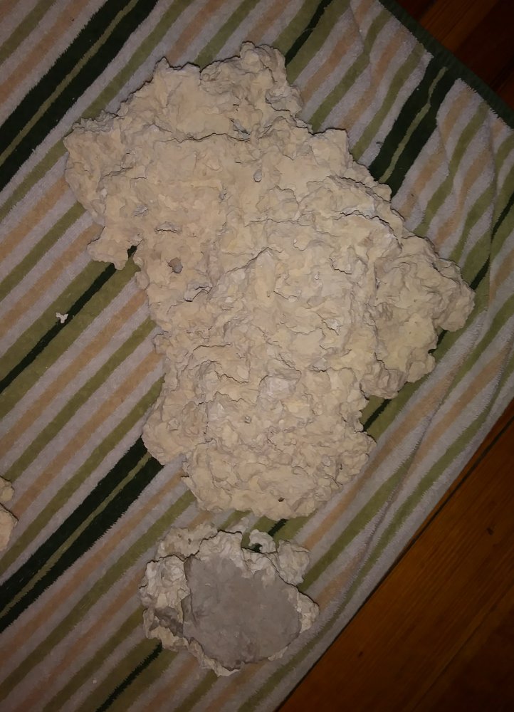 20180316_202756.jpg