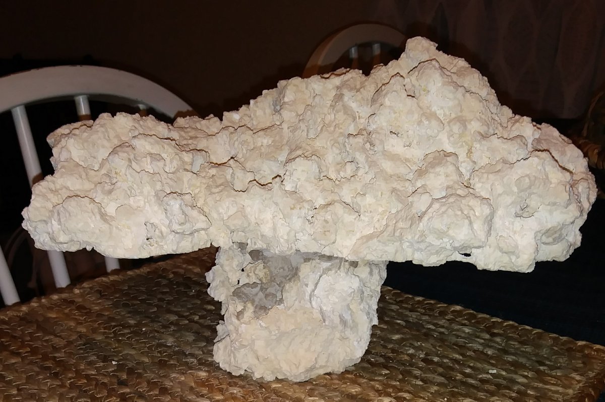 20180316_202954.jpg