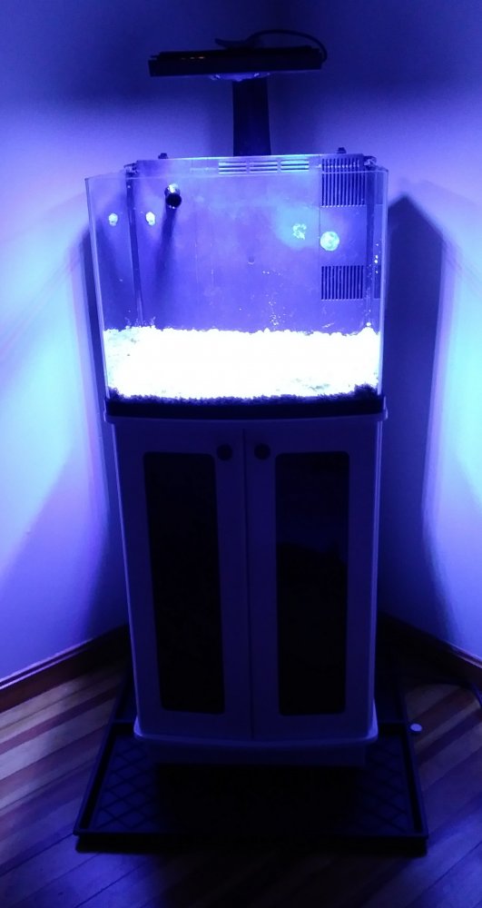 20180320_230229.jpg
