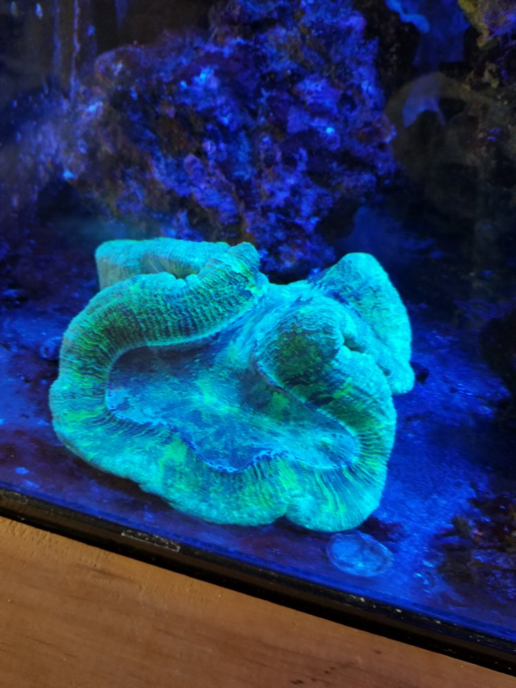 20180324_160024.jpg