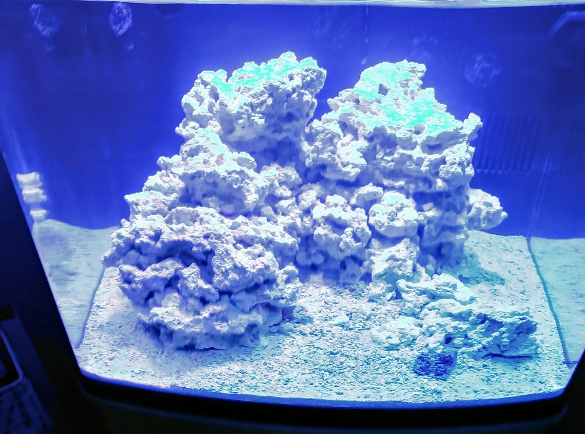 20180330_072004_HDR.jpg