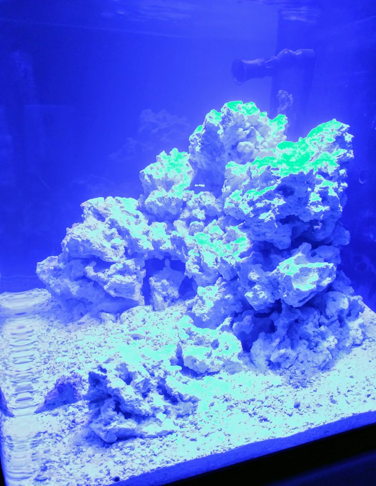 20180330_072040.jpg