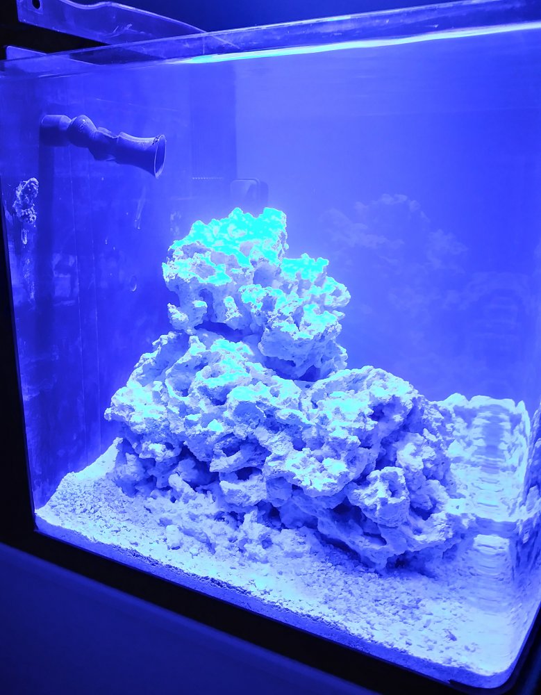 20180330_072157_HDR.jpg