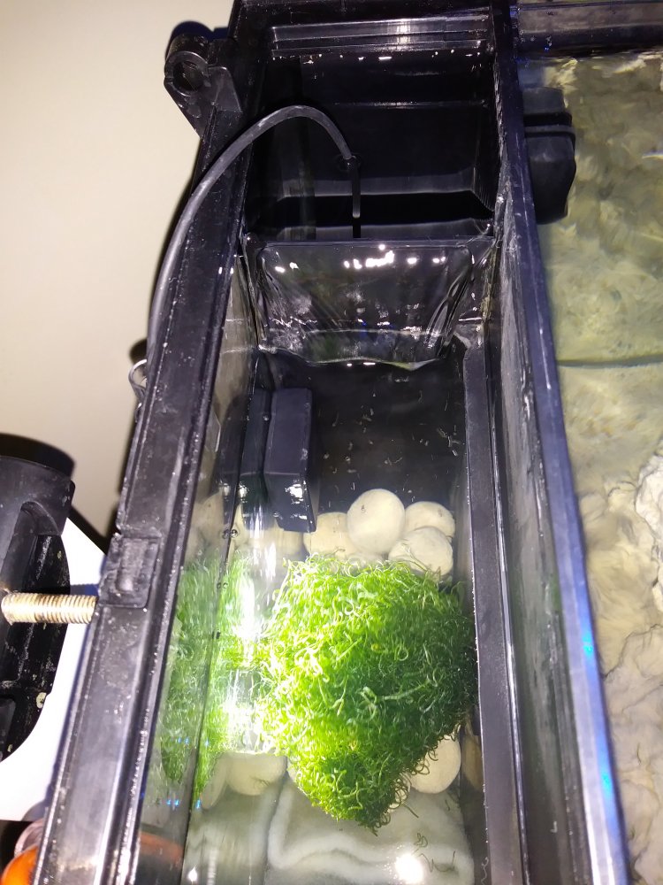 20180401_000514.jpg