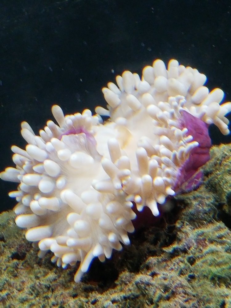20180612_063746.jpg