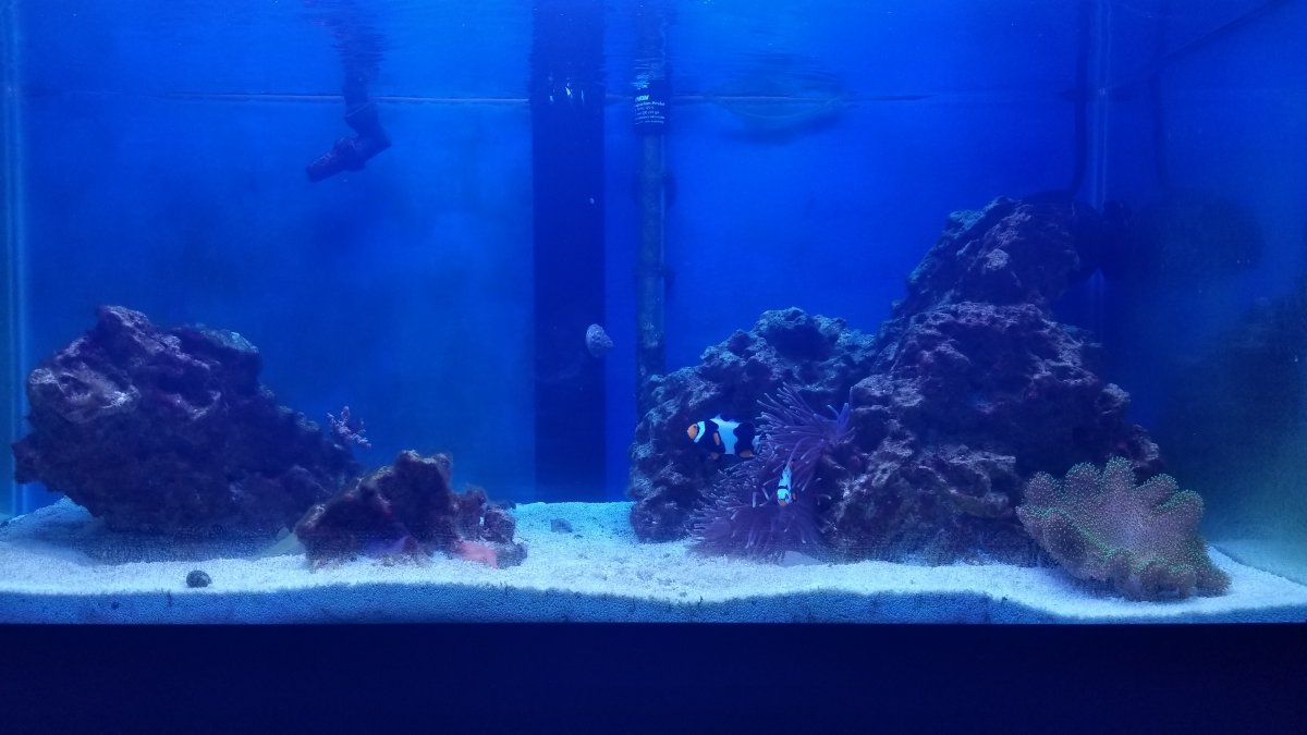 20180616_133741.jpg