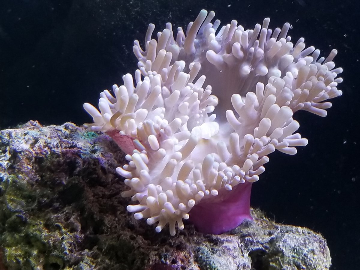 20180618_095136.jpg