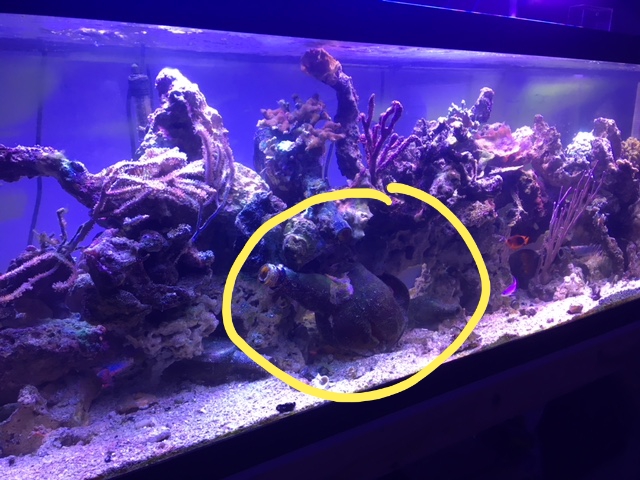 20180719_105742.jpg
