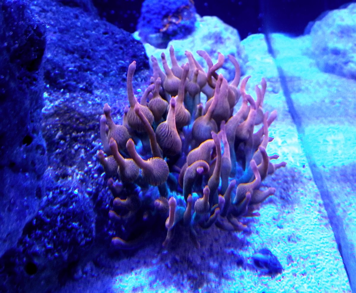 20180802_225825.jpg