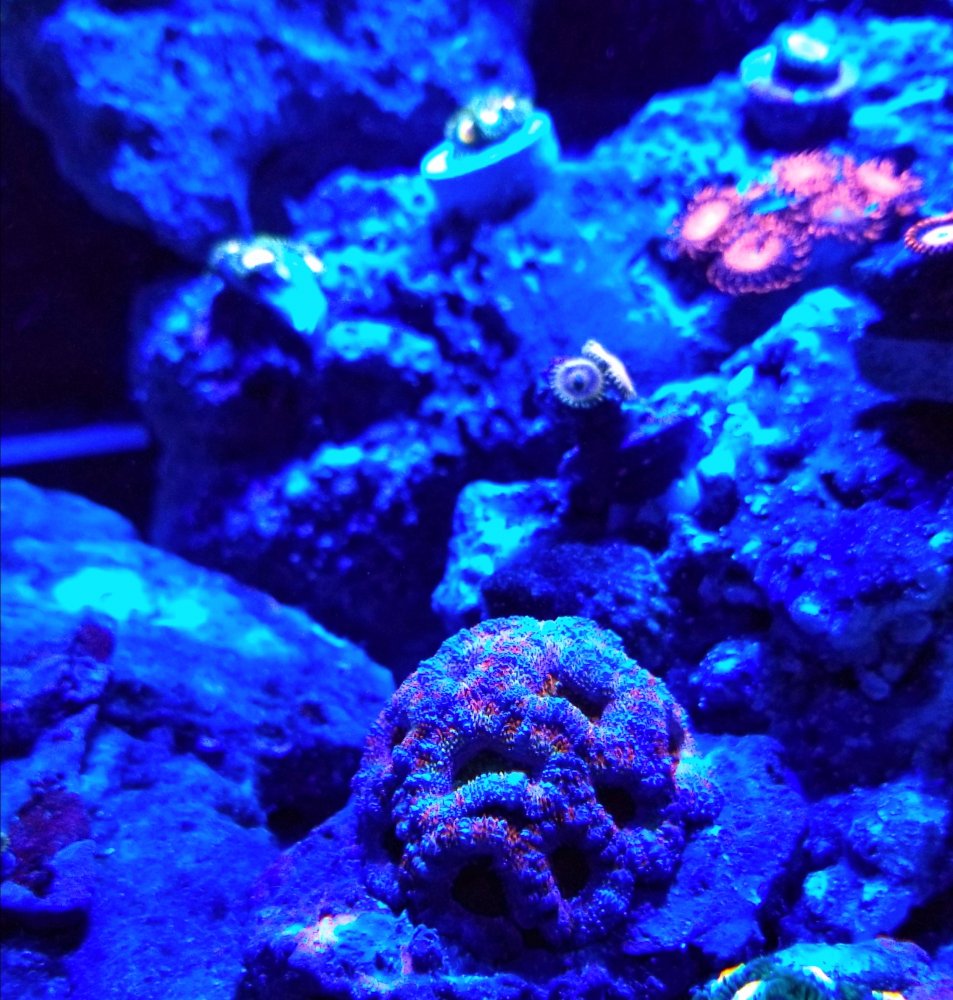 20180804_131520.jpg