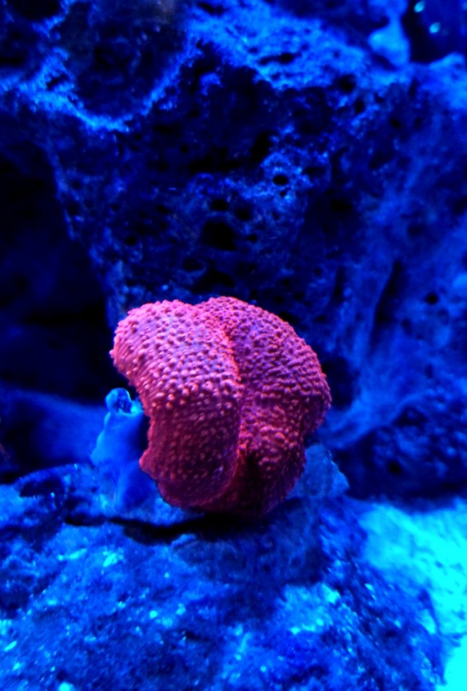 20180804_142001.jpg