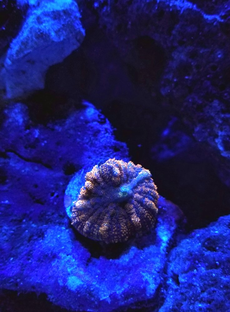 20180804_142138.jpg