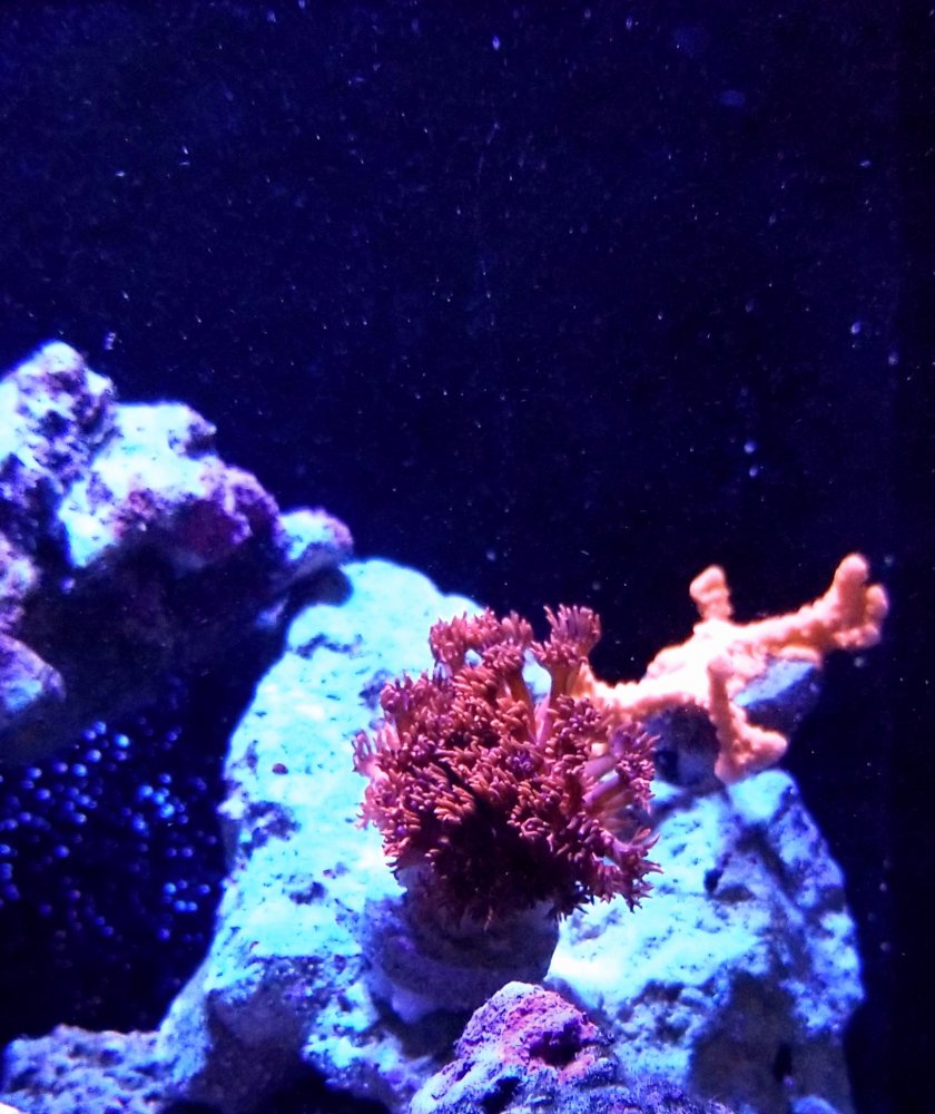 20180804_163740.jpg