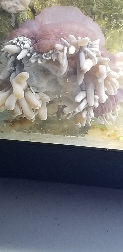 20180814_091647.jpg