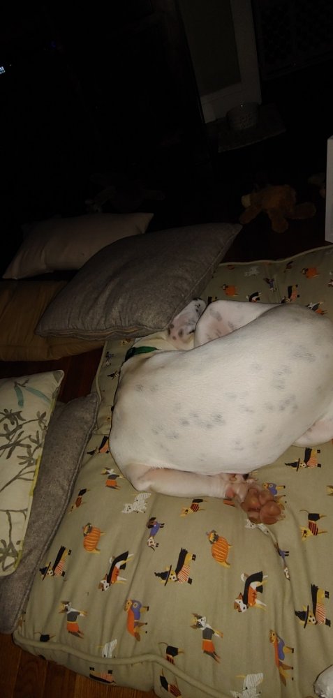 20181003_205316_resized.jpg
