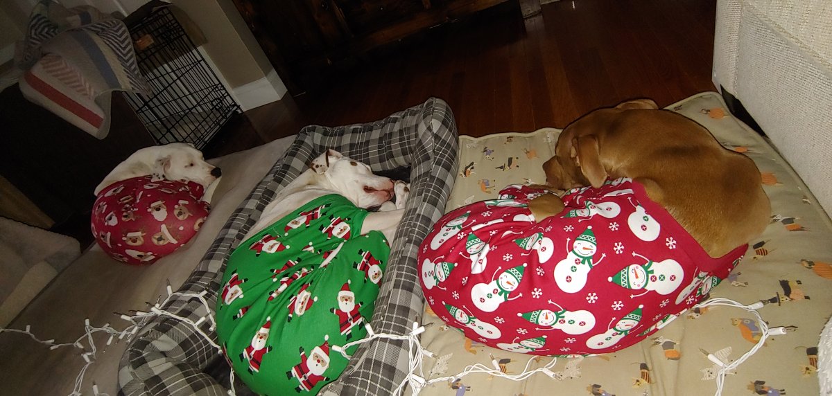 20181202_123156.jpg