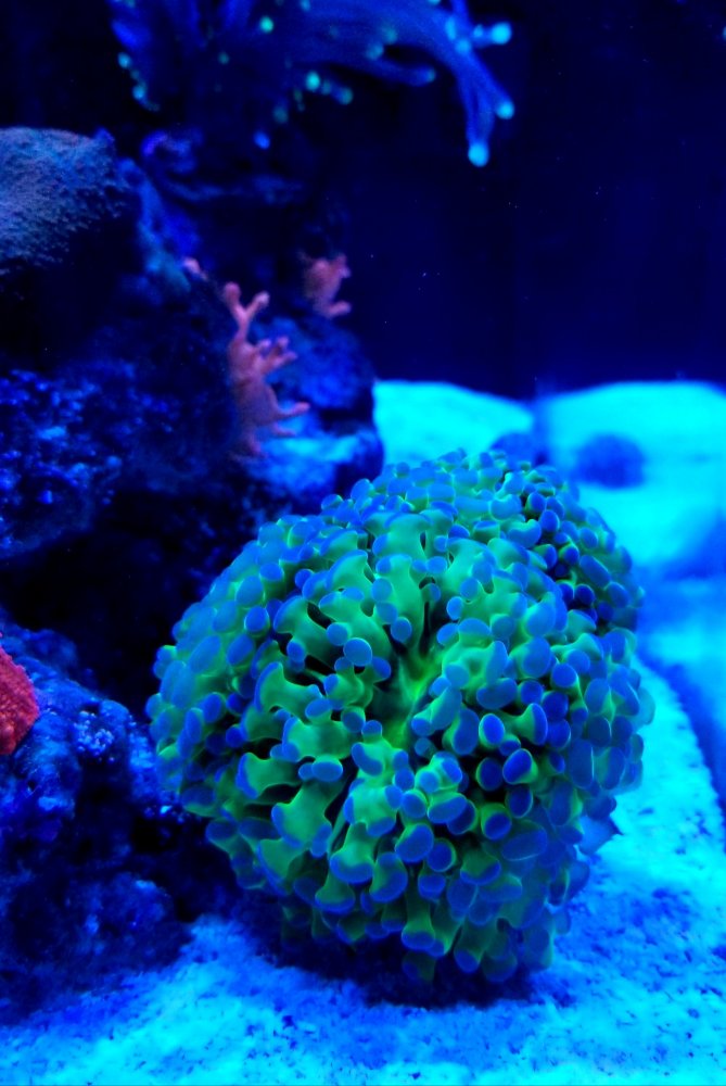 20181203_220200.jpg