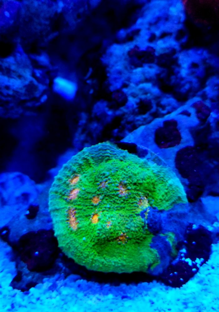 20181203_220240.jpg