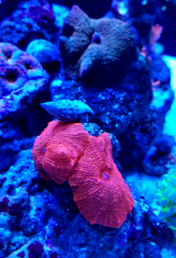 20181203_220312.jpg