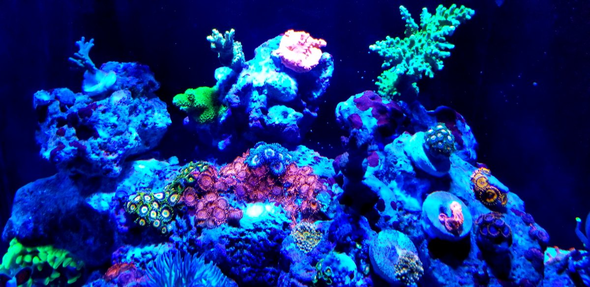 20181203_220455.jpg
