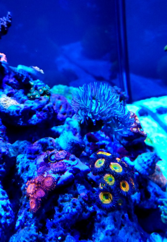 20181203_220539.jpg