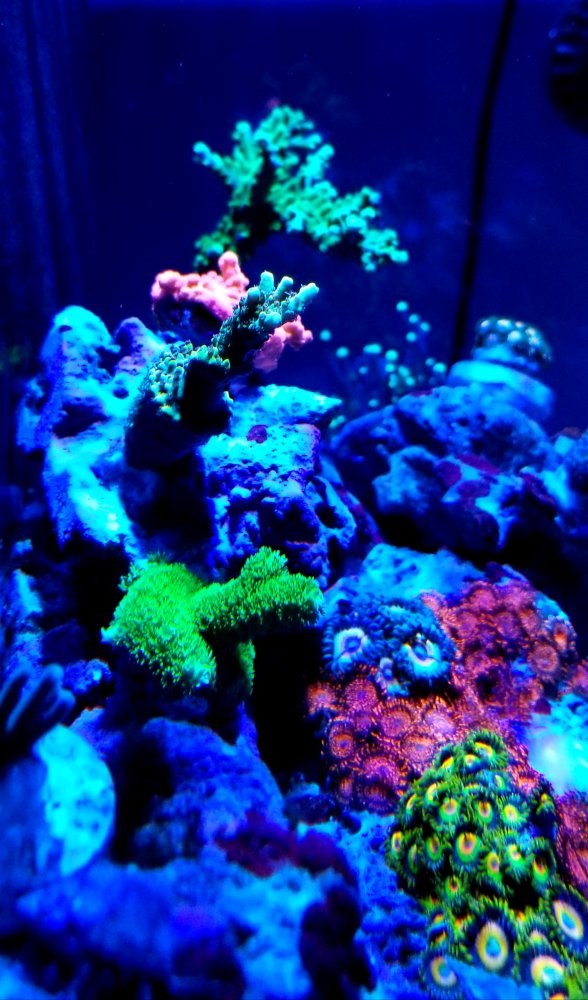 20181203_220655.jpg