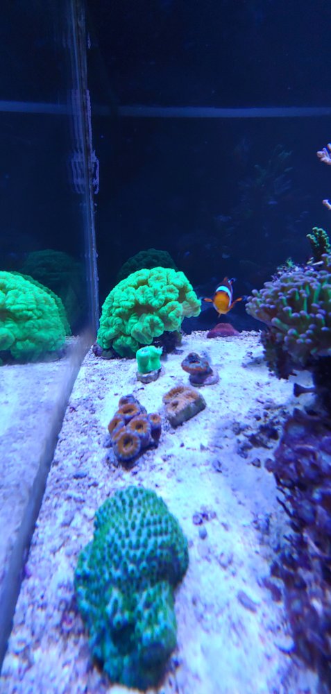20181227_203644.jpg