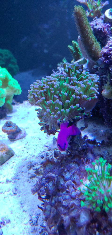 20181227_203746_HDR.jpg