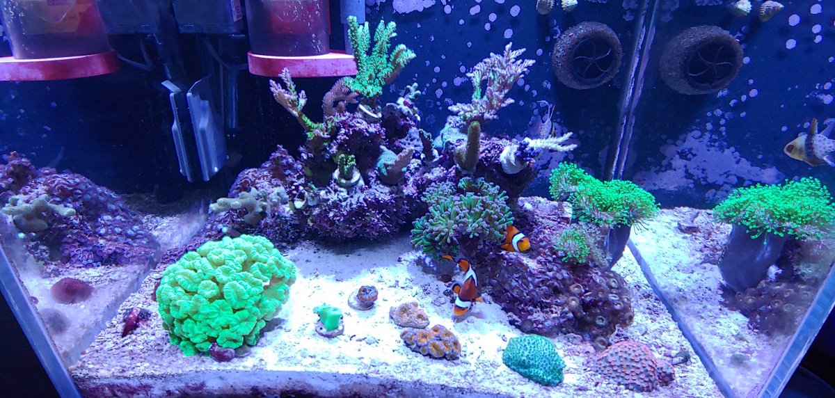 20181227_204017.jpg