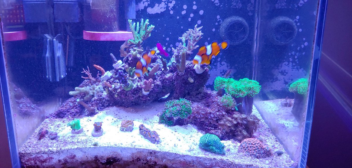 20181230_190913_HDR.jpg