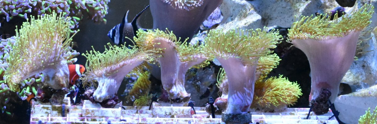 2019-05-17_4894_small2.JPG