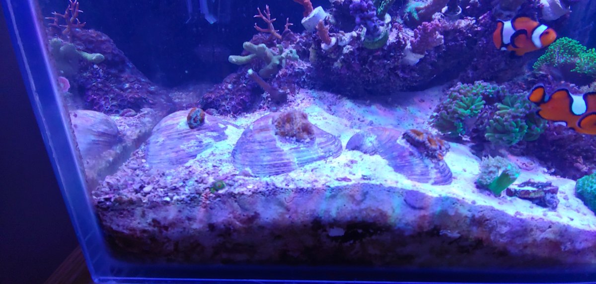 20190102_113854.jpg