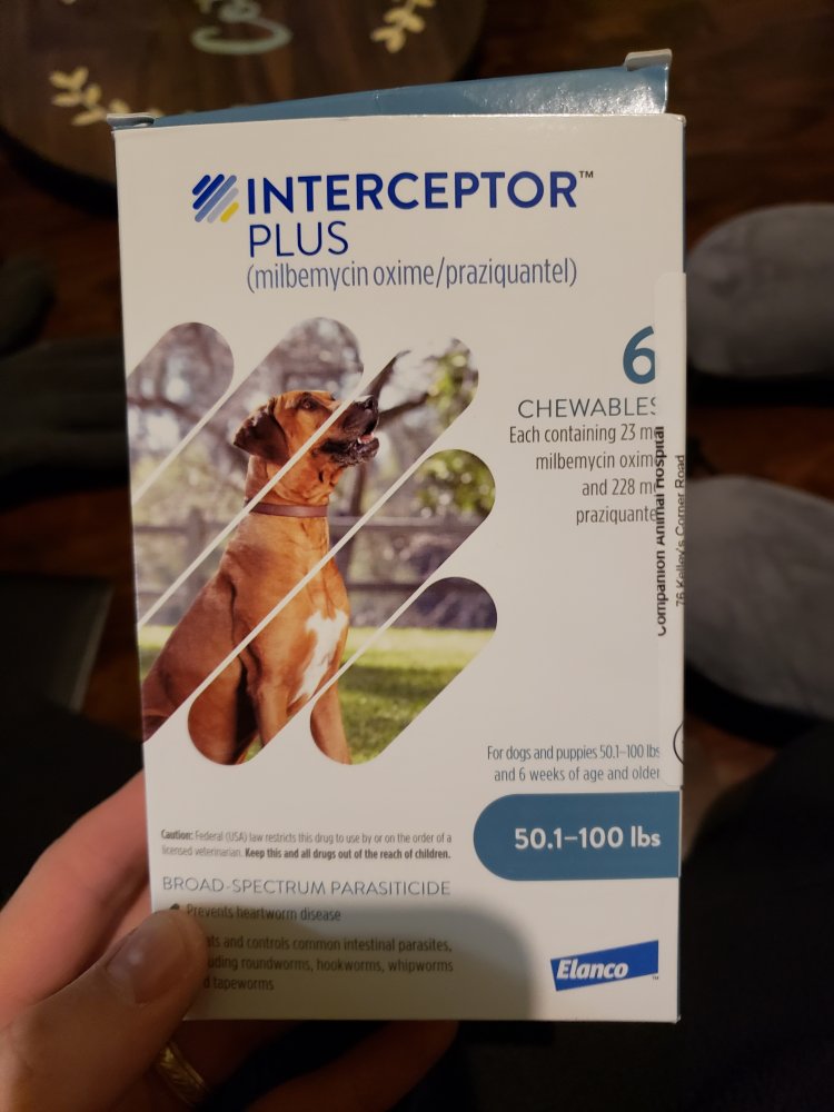 20190125_171110.jpg