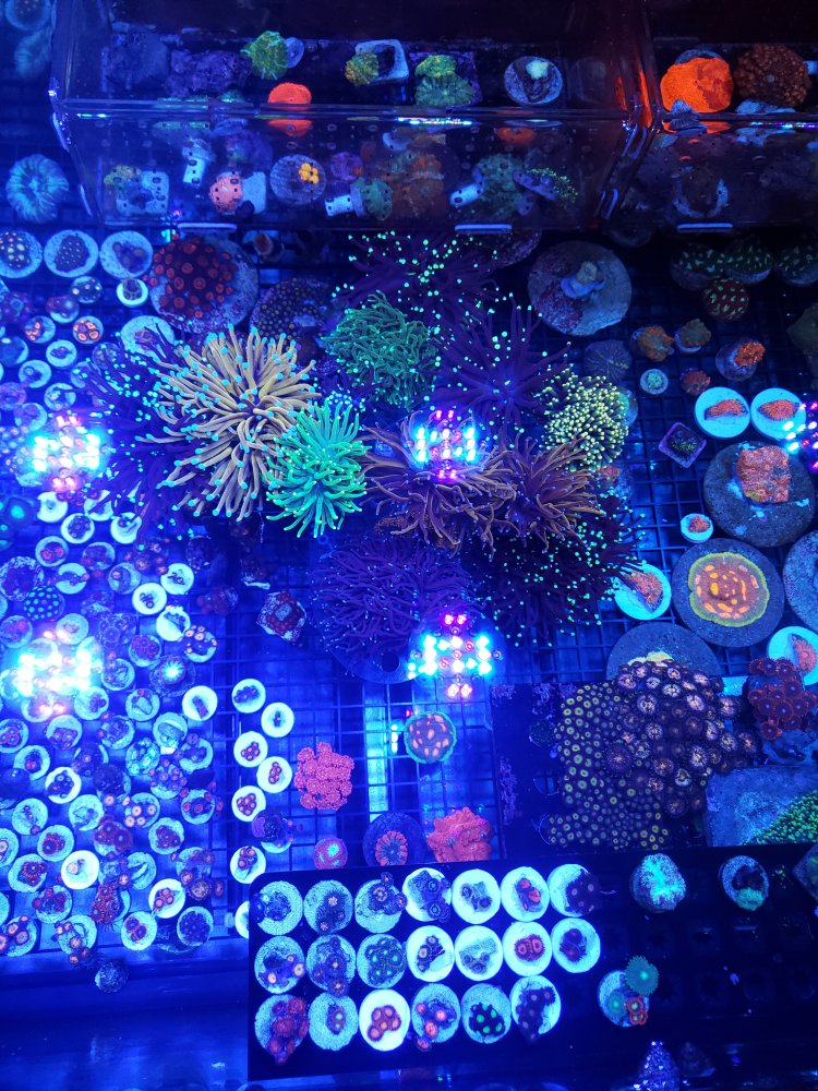 20190601_174641.jpg