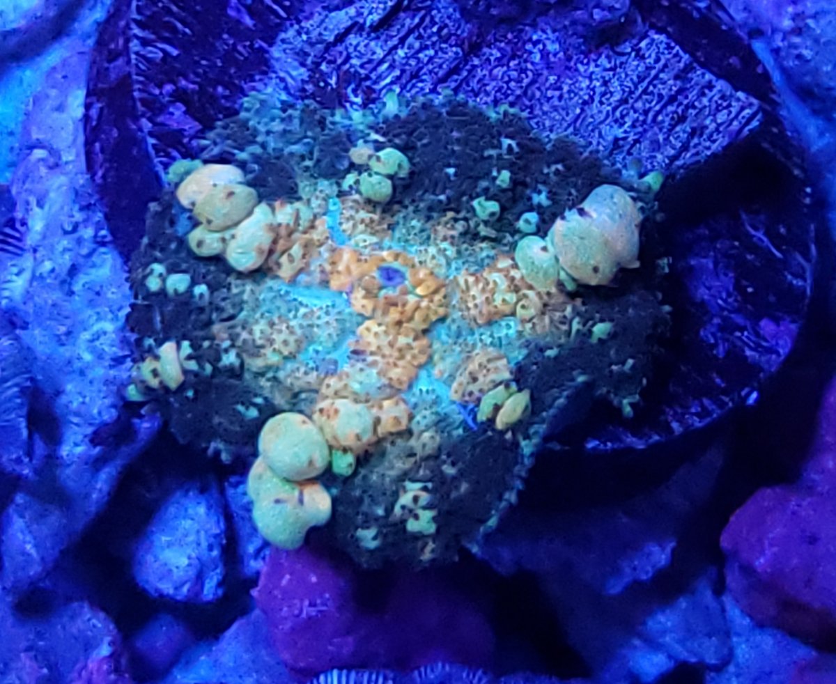 20190619_233633.jpg