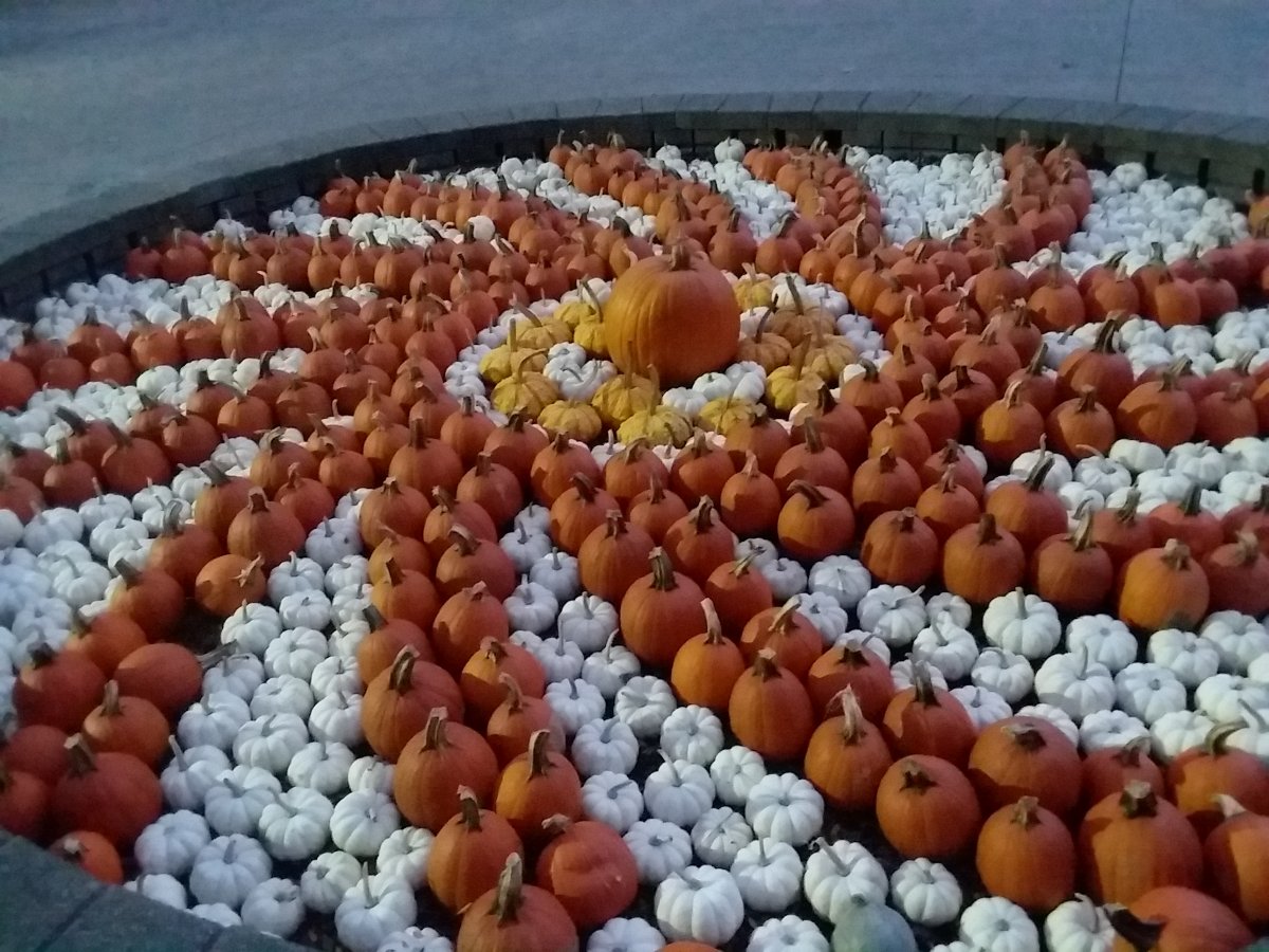 20191004_192947.jpg