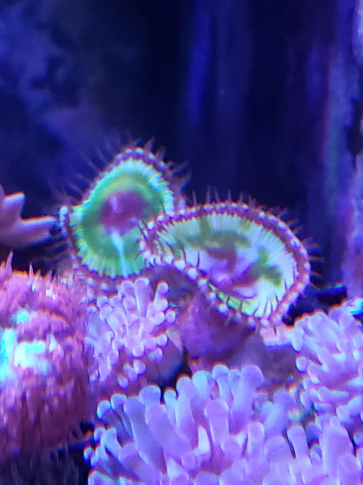20191209_223544.jpg